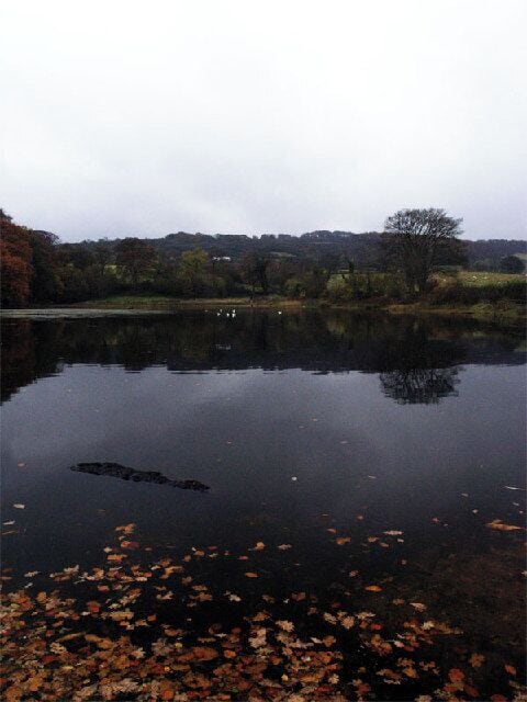 Lake by Sled Lane. Looking over lake at Bradley Gardens towards Tenter Hills