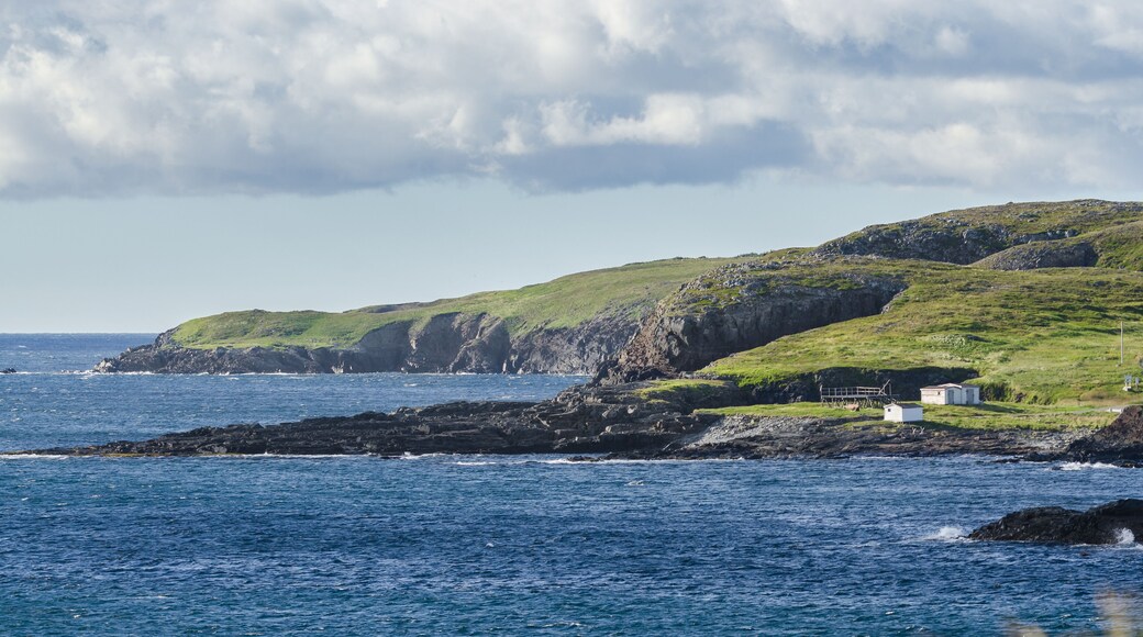 Ellistion cliffs, hillsides and shoreline. Rocky coastline in Elliston village along the coast fingers of the Island of Newfoundland, Canada.