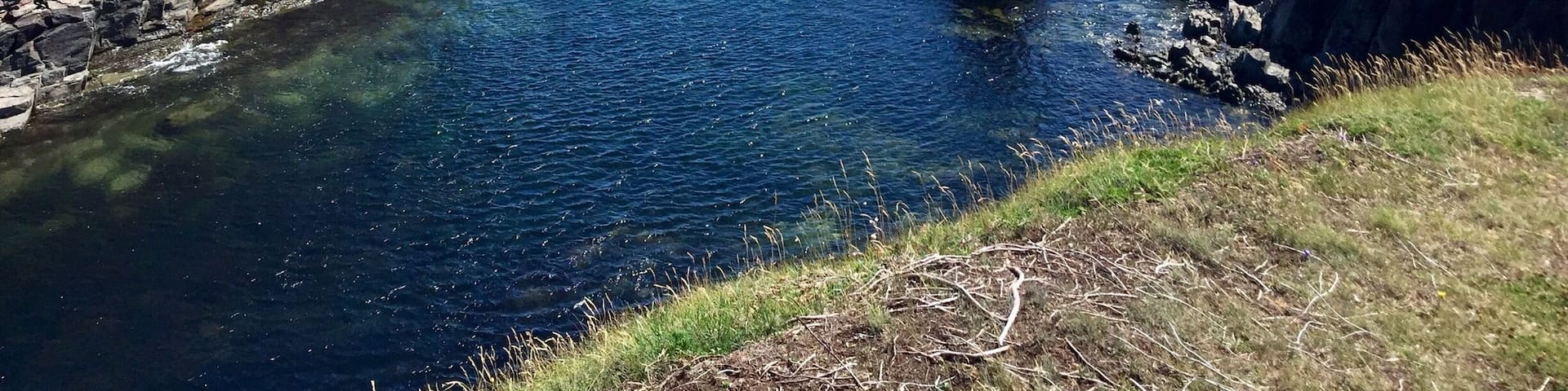 Located on the Bonavista Peninsula is the lovely little city of Elliston.