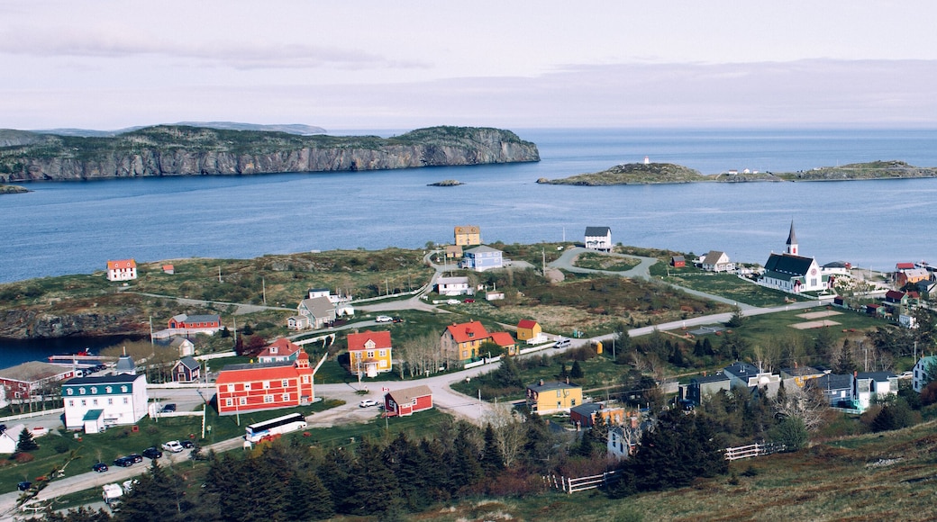 Bonavista