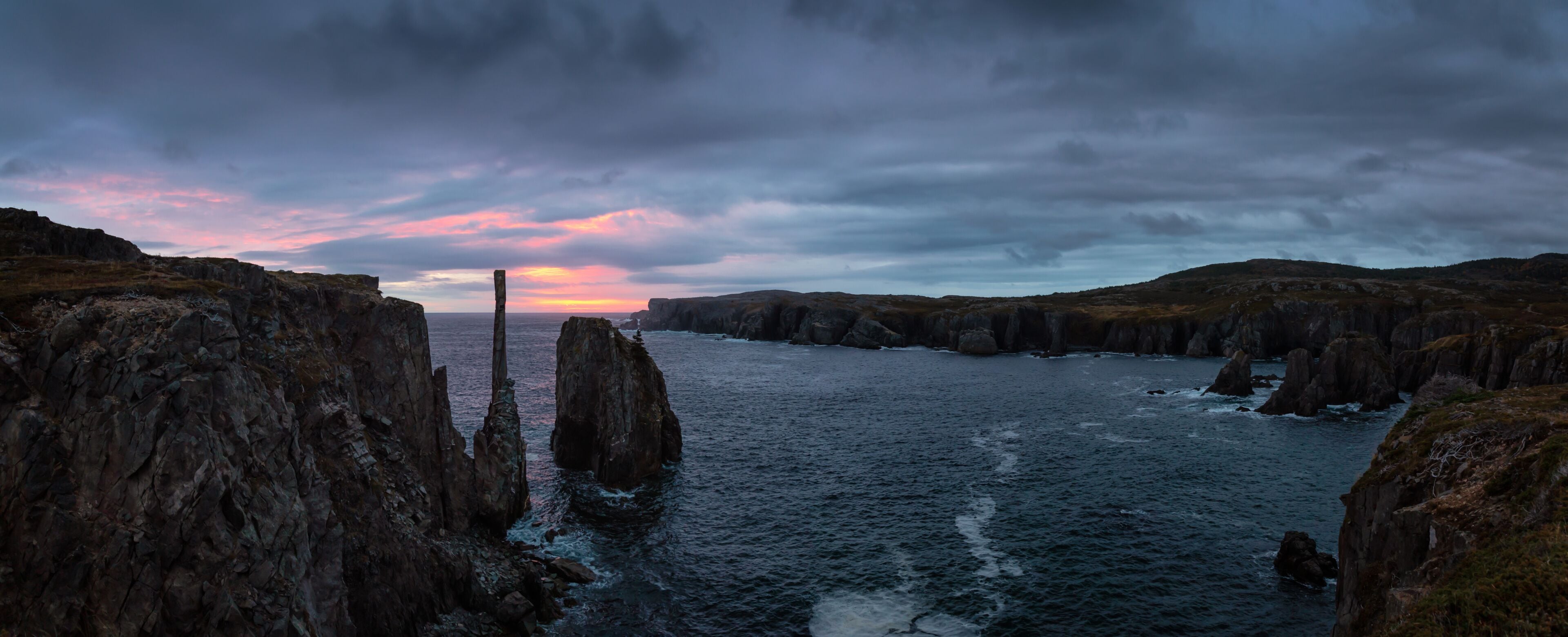 Bonavista