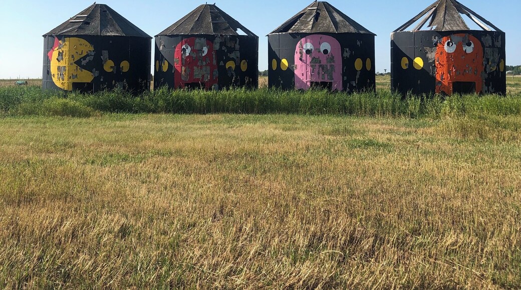 Pac-Man silos