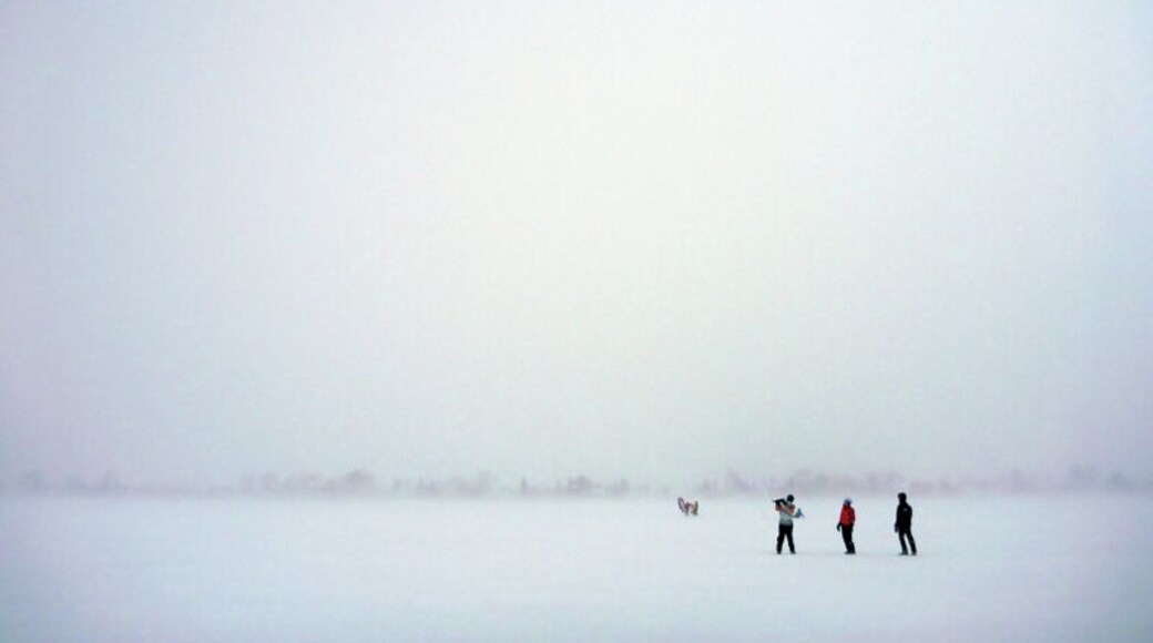 Kiteboarding on the lake.
#winter #cold #snow #Alberta #outdoor