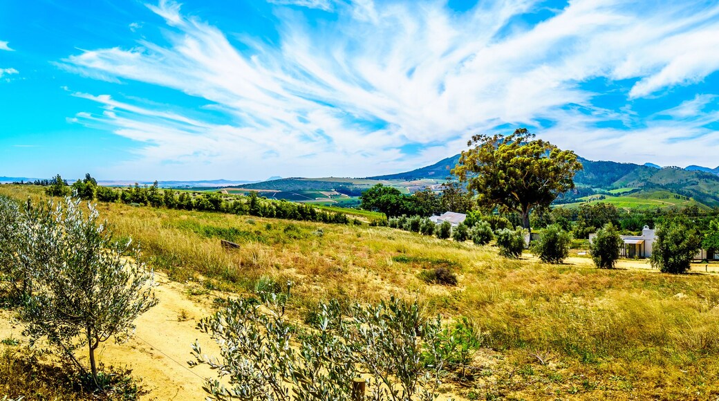 Reserva Natural Local de la Muntanya Paarl