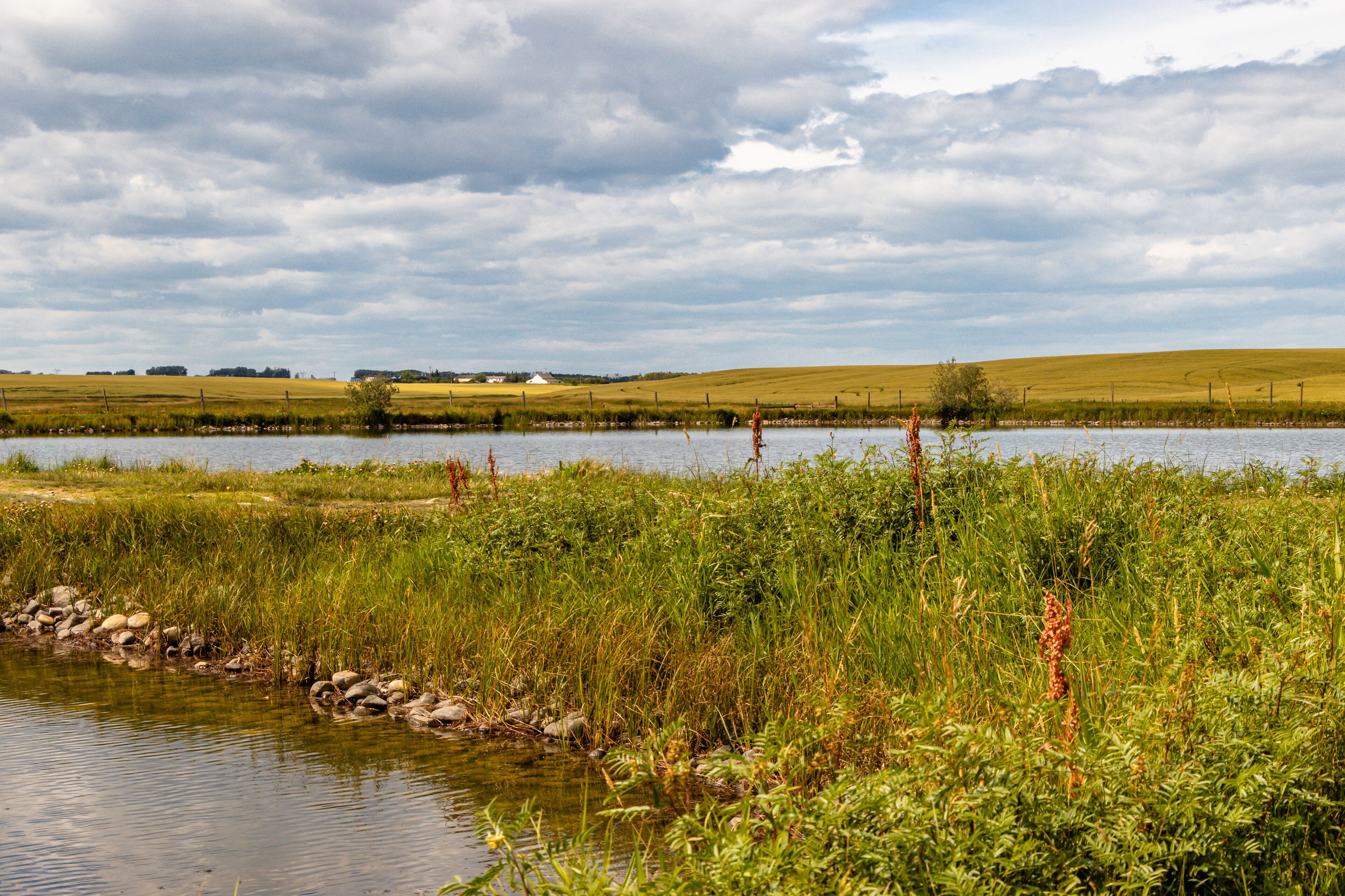 Fishing ponds and shorelines. Crossfield, Alberta, Canada