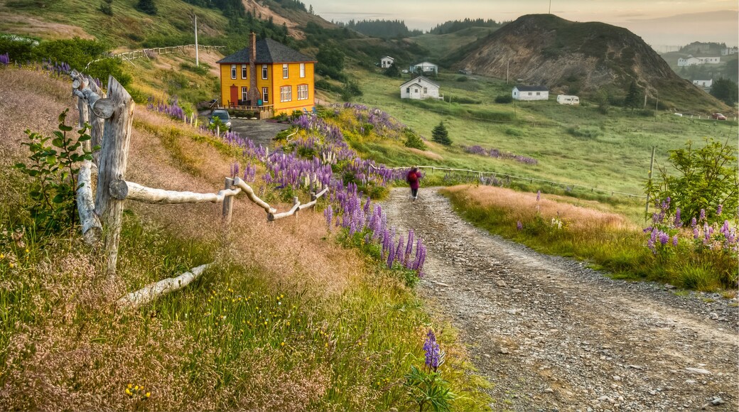 Port Rexton