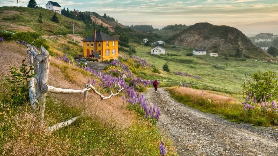 Morning Walk, Port Rexton, Newfoundland