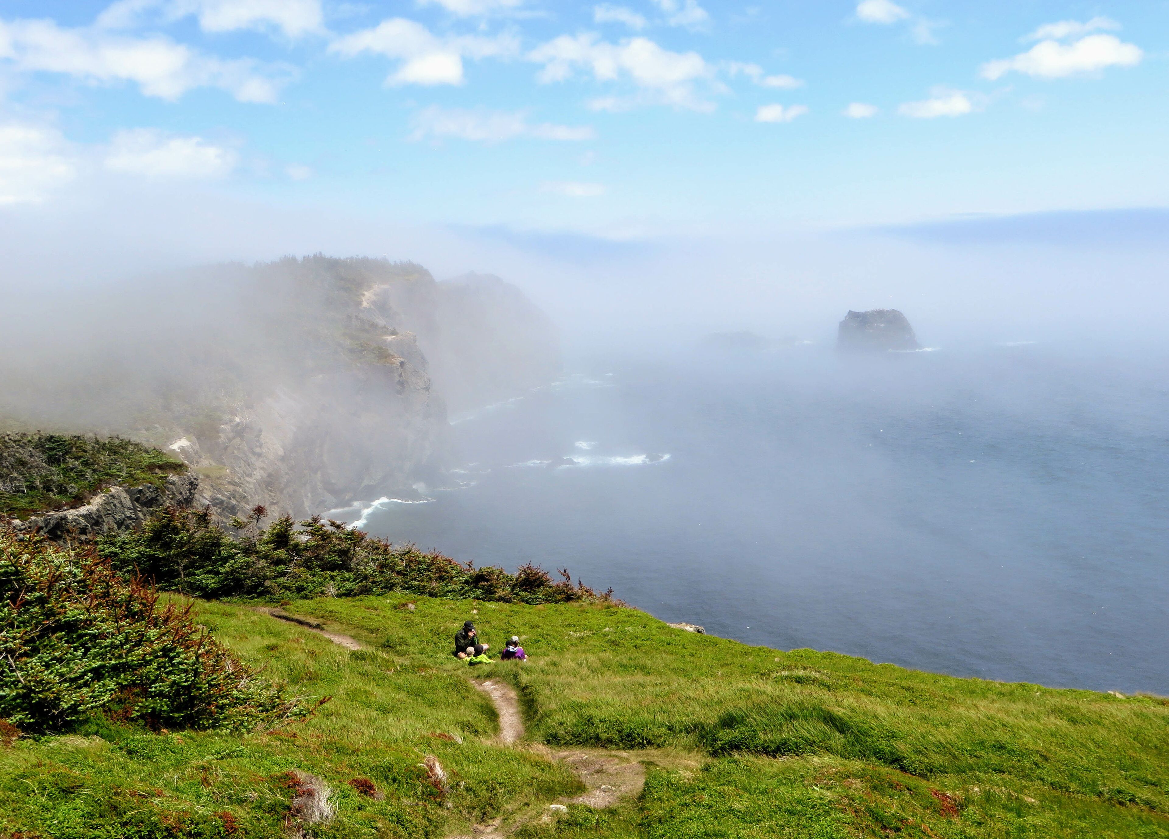 A coastal landscape with a grassy path, cliffs, and a rocky outcrop in the distance.