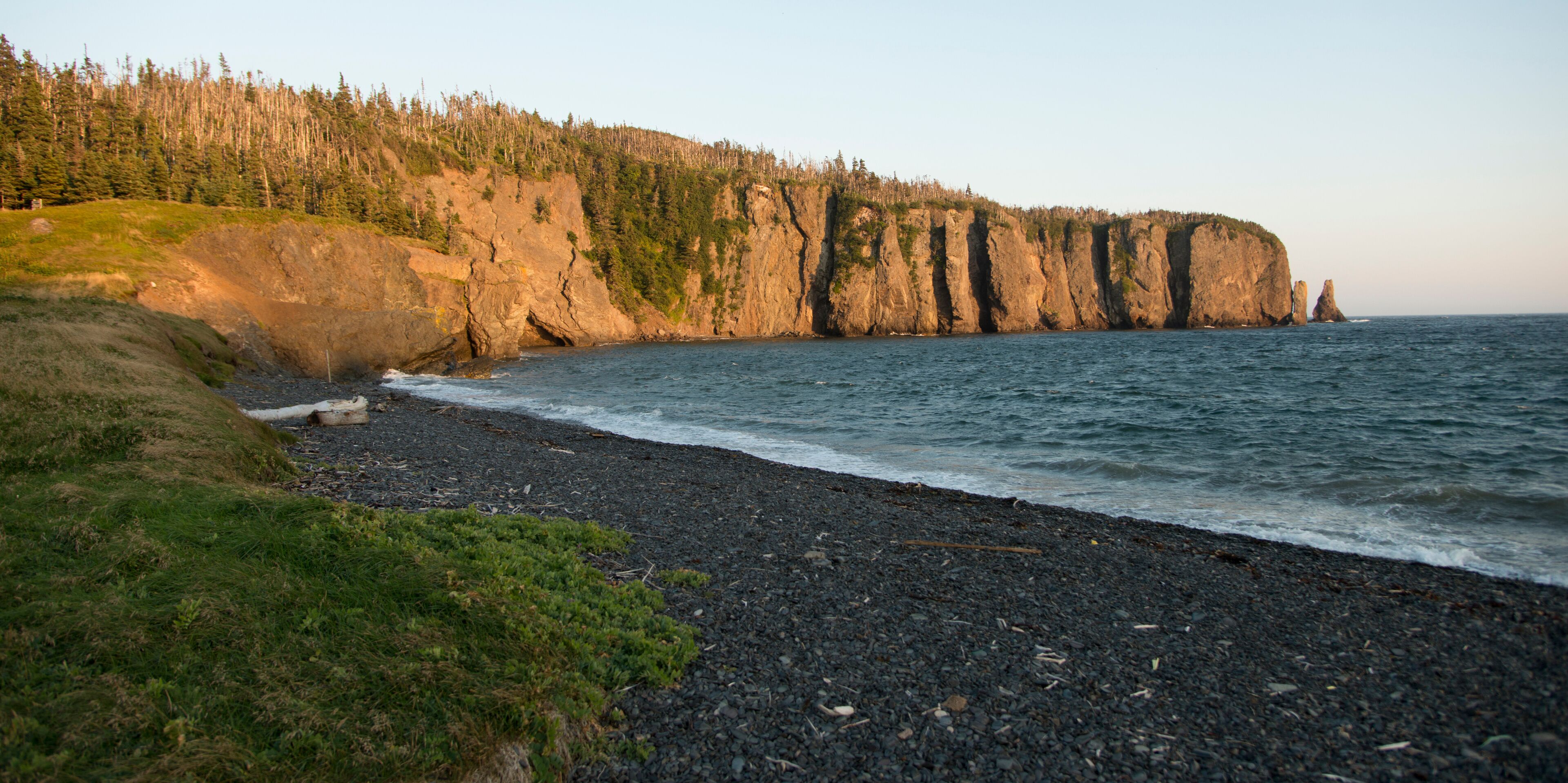 A rocky shoreline with a forested cliff and a clear view of the ocean.