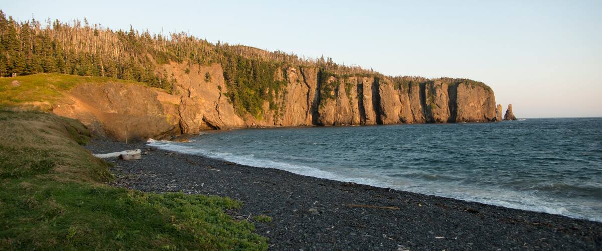 A rocky shoreline with a forested cliff and a clear view of the ocean.