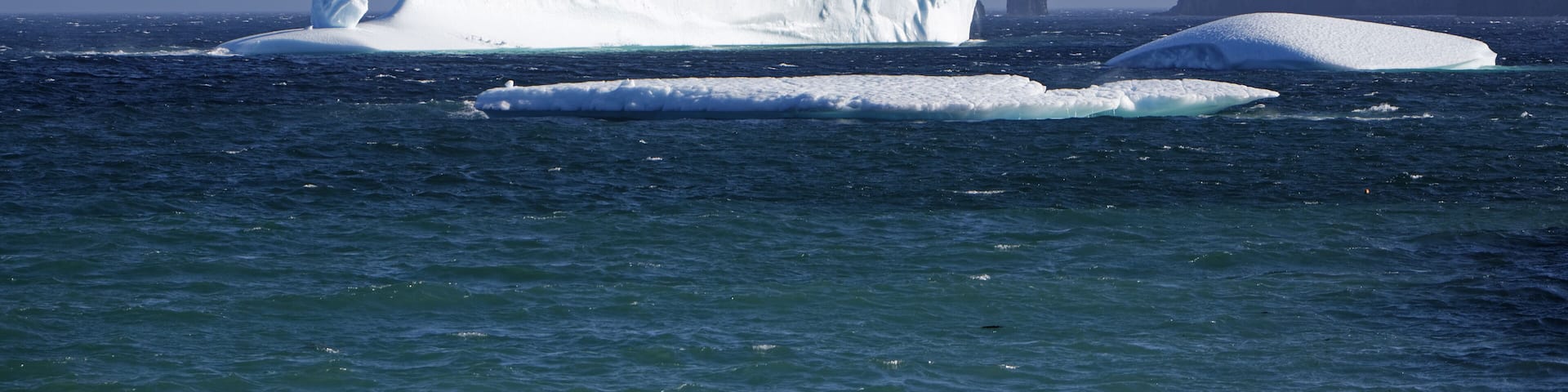 A large iceberg in the ocean with smaller icebergs nearby and a rocky coastline in the background.