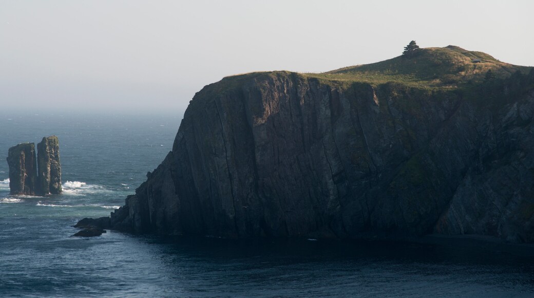 Bonavista Peninsula, Newfoundland, Canada