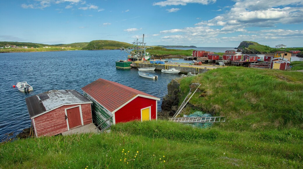Colorful Port Rexton, Newfoundland