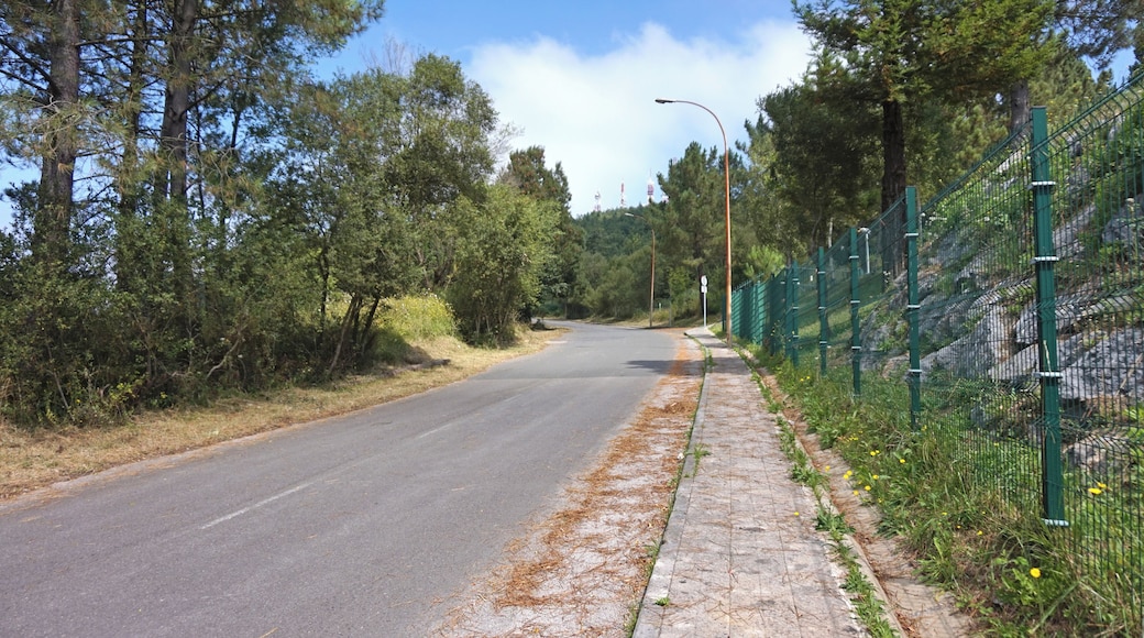 The street Carretera Vivero near Etxebarri, Spain.