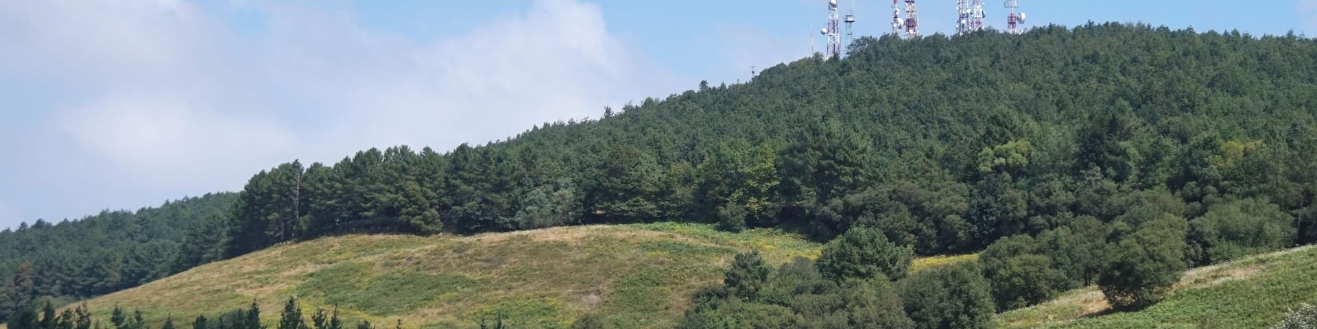 View of forest and hill in Basque Country near Etxebarri.