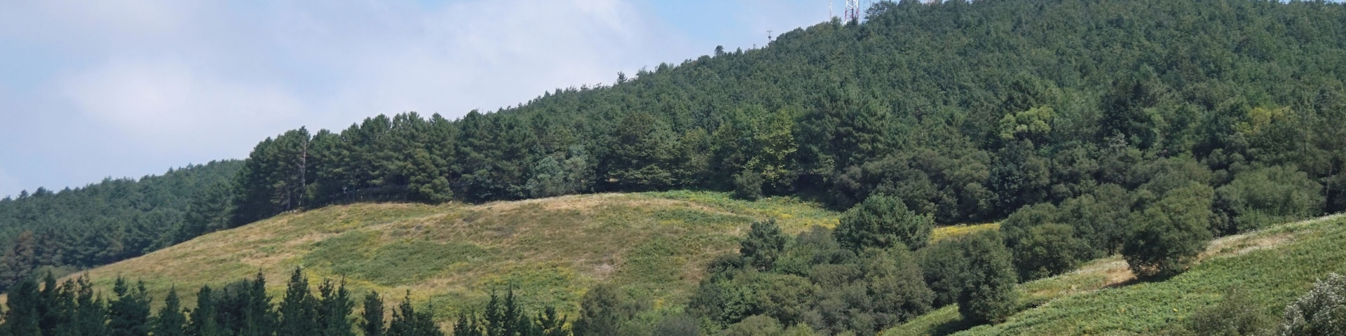 View of forest and hill in Basque Country near Etxebarri.