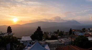 アーティスト区