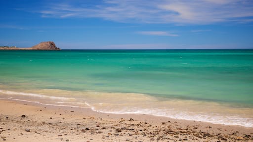 Cabo Pulmo showing general coastal views and a beach
