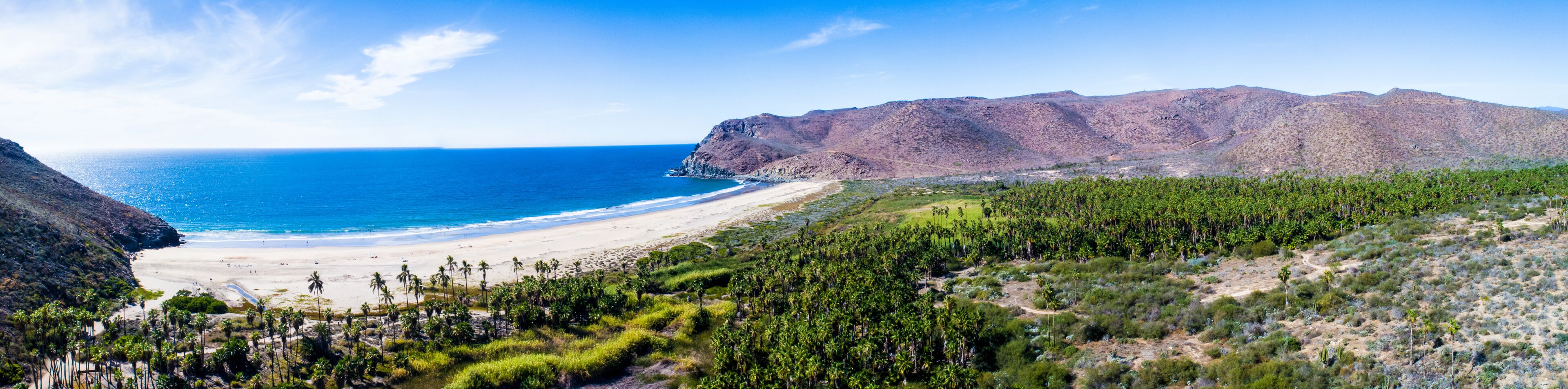 A coastal landscape with a beach, palm trees, and a mountainous backdrop.