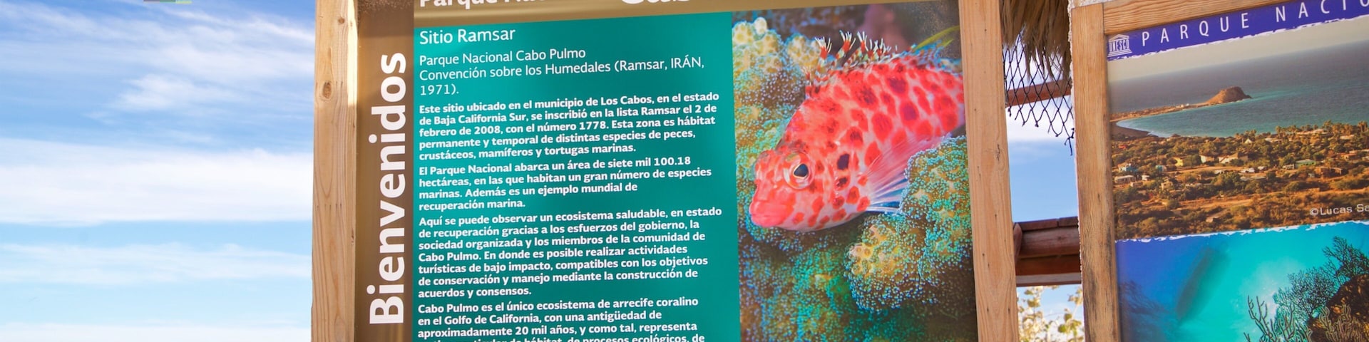 Cabo Pulmo featuring signage and general coastal views