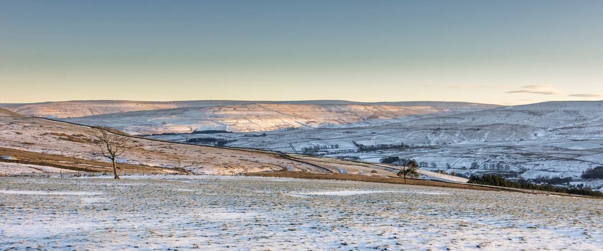 A lone tree in a snowy field in Weardale, the North Pennines, County Durham, UK