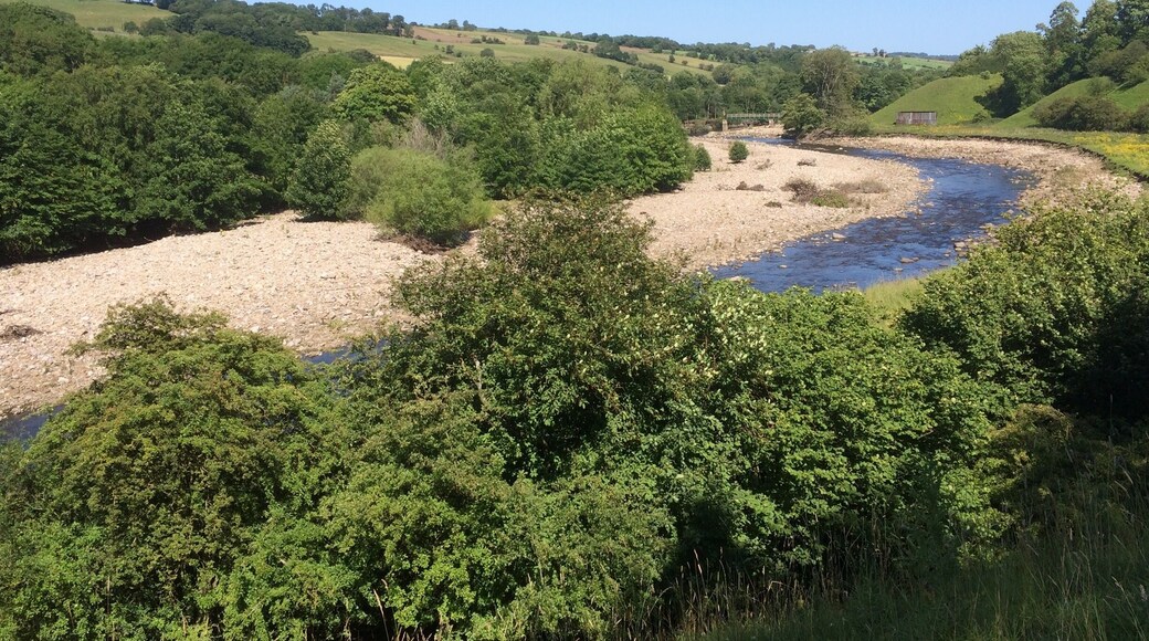Above Frosterley on an established walk, Bishop Auckland #takeahike
