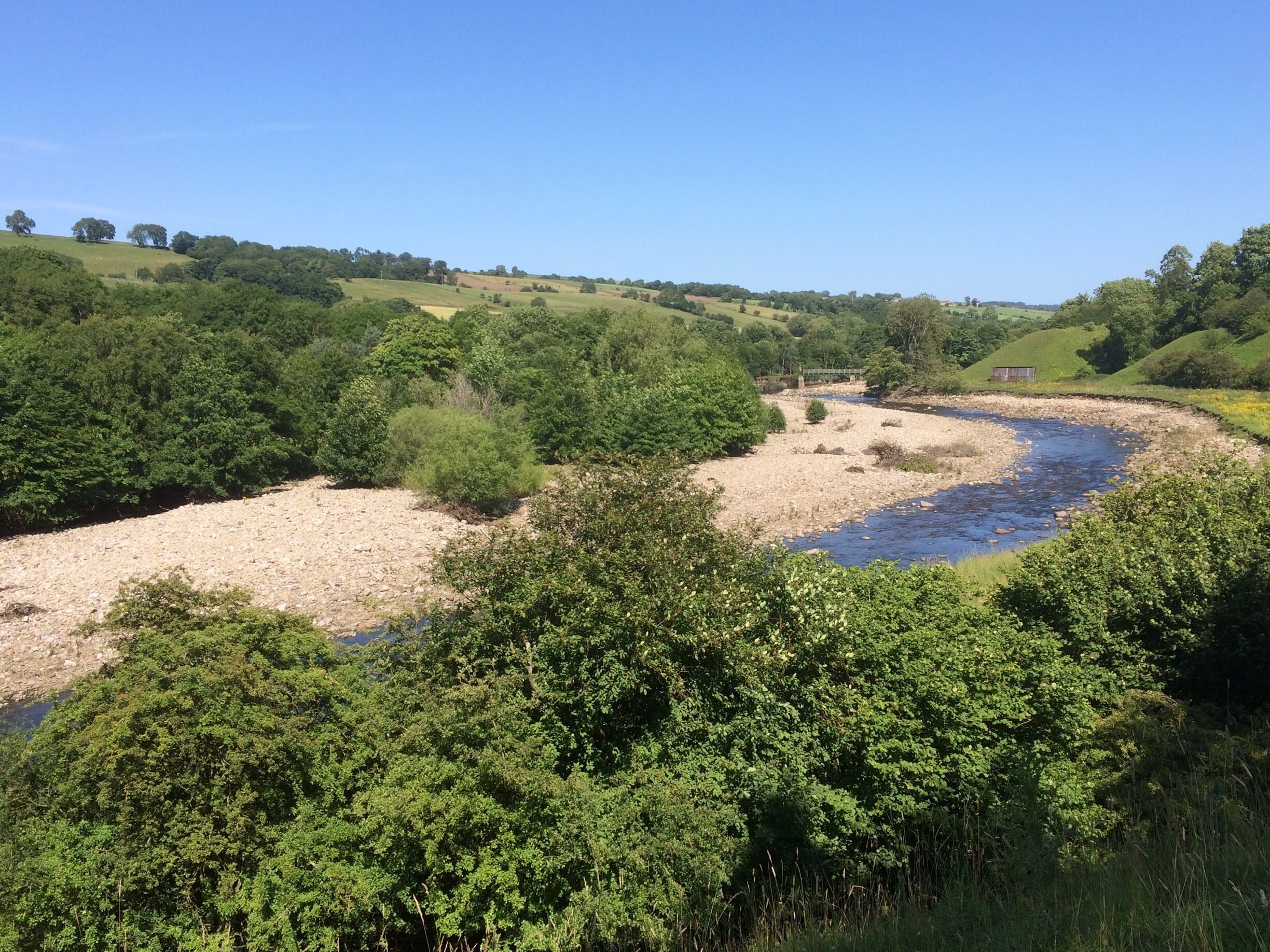 A river winding through a lush, green valley with rolling hills and scattered trees.
