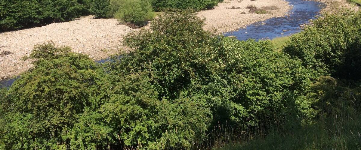A river winding through a lush, green valley with rolling hills and scattered trees.