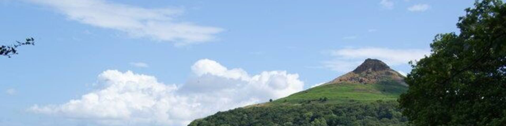 Roseberry Topping above Newton Wood