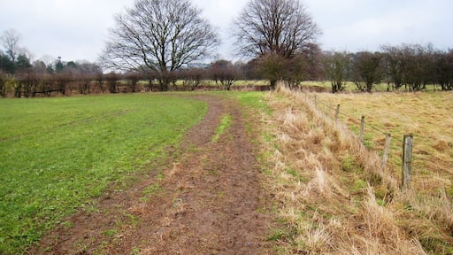 Footpath near East Angrove This photograph shows a view of a rather muddy section of the footpath that runs between Yarm Lane (near Great Ayton) and the A172 road (near Stokesley). The section of the path shown in this scene lies just north-west of East Angove. The picture was taken looking in a north-easterly direction towards Great Ayton.