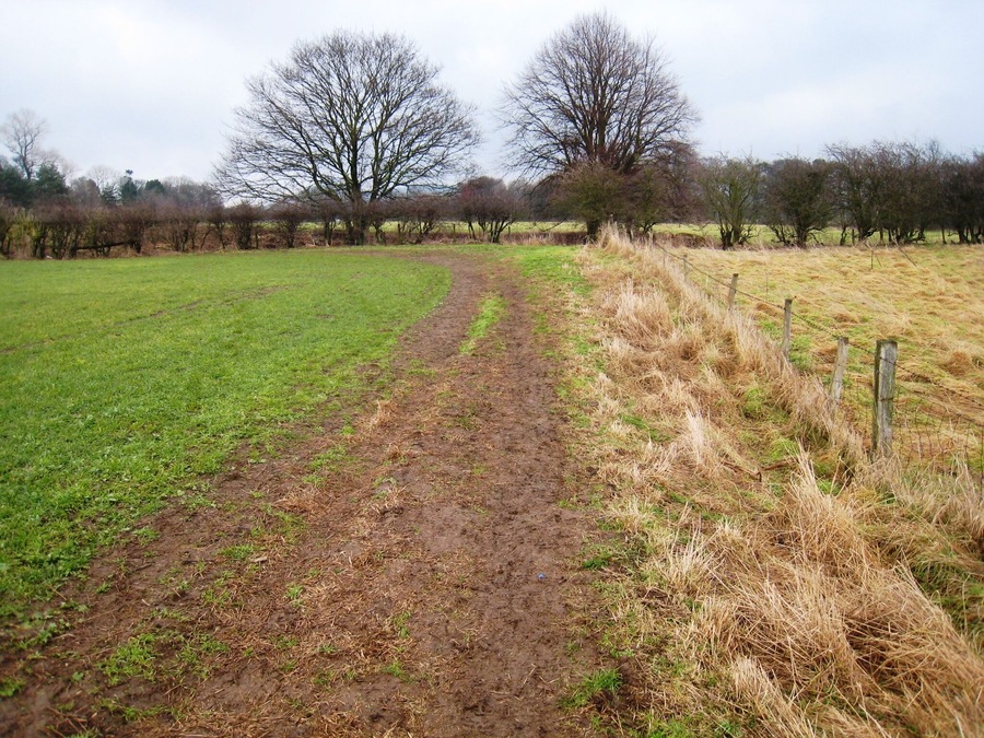 Footpath near East Angrove This photograph shows a view of a rather muddy section of the footpath that runs between Yarm Lane (near Great Ayton) and the A172 road (near Stokesley). The section of the path shown in this scene lies just north-west of East Angove. The picture was taken looking in a north-easterly direction towards Great Ayton.