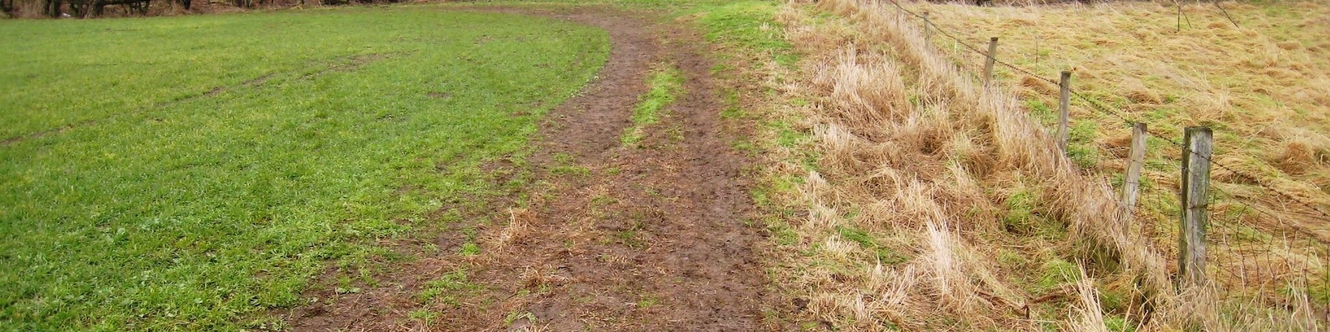 Footpath near East Angrove This photograph shows a view of a rather muddy section of the footpath that runs between Yarm Lane (near Great Ayton) and the A172 road (near Stokesley). The section of the path shown in this scene lies just north-west of East Angove. The picture was taken looking in a north-easterly direction towards Great Ayton.