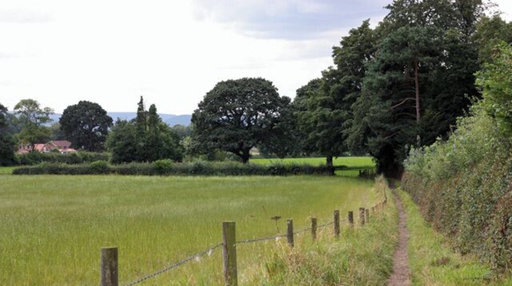 Footpath into Great Ayton The path runs quite straight, southwest into the village, passing through a series of kissing gates before emerging onto the road.