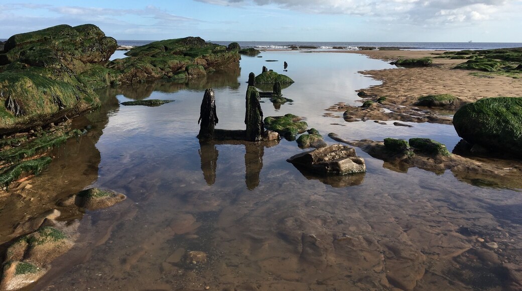 Season Carew beach is a local town side beach with easy access.