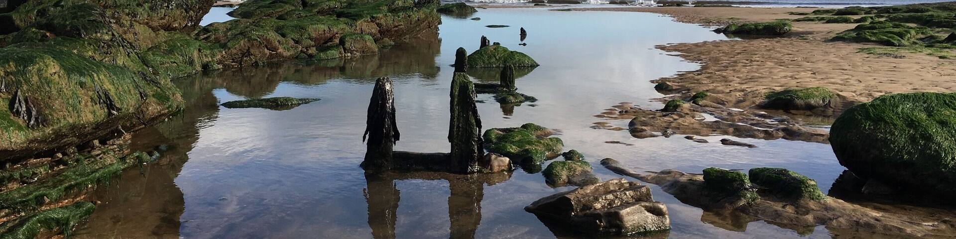 A coastal landscape with rocky formations and calm waters.