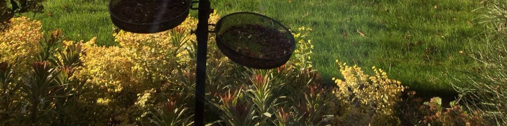 Wonderful views from our breakfast table, looking out onto farming land, Frosterly, County Durham.