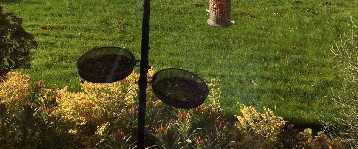 A metal balance with bird feeders in a grassy field with a scenic landscape in the background.