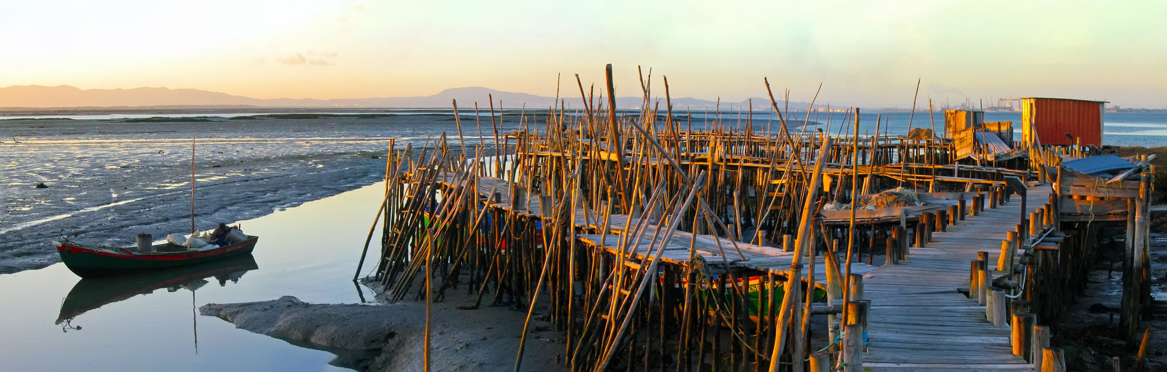 A wooden pier with a boat docked at the end, surrounded by reeds and a calm body of water.