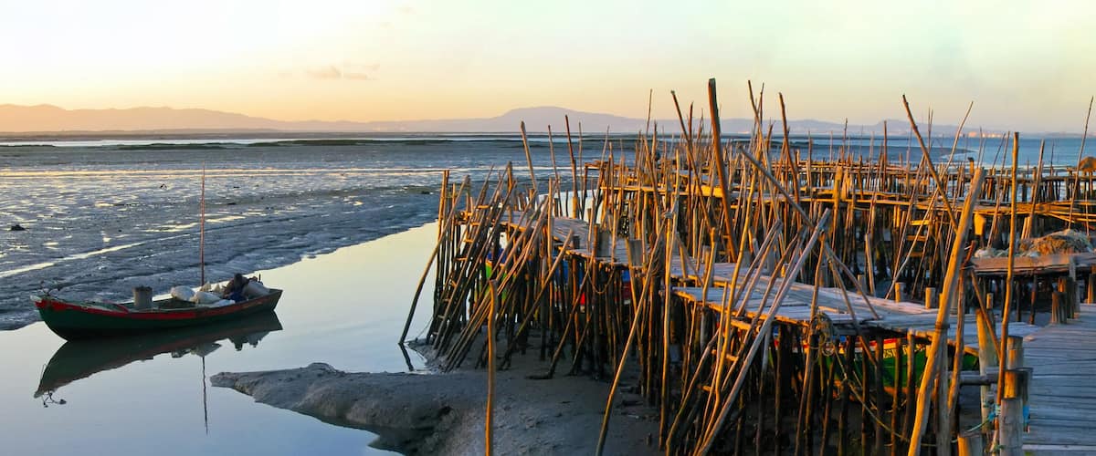 A wooden pier with a boat docked at the end, surrounded by reeds and a calm body of water.
