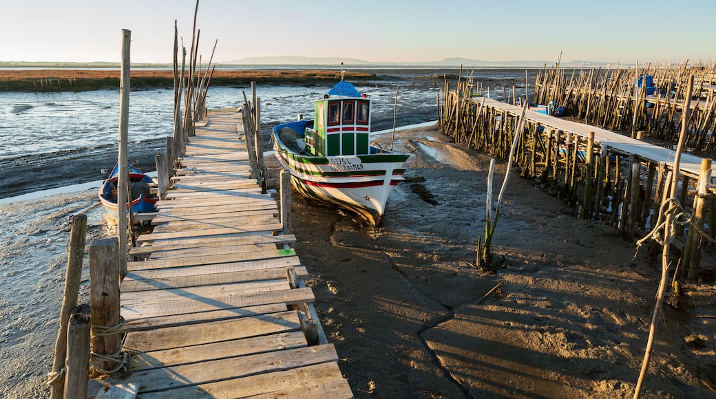 Carrasqueira Palafitic Pier in Comporta, Portugal with fishing boats