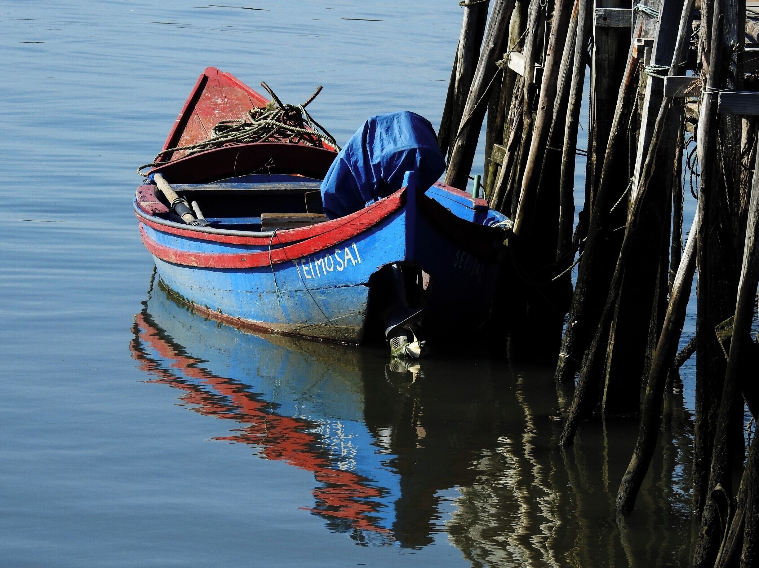 #comporta #portugal #caispalafitico #carrasqueira 

O Cais Palafítico da Carrasqueira é uma construção, das décadas de 50 e 60, feita pela comunidade local com estacas de madeira irregular. Tem  algumas centenas de metros e serve de ancoradouro para os barcos de pesca que ali acostam. É um lugar interessante e diferente que pode proporcionar um excelente passeio.

The Carrasqueira Palafitic Pier is a construction of the 50s and 60s made by the local community with irregular wood stakes. It has a few hundred meters and serves as an anchorage for the fishing boats that lie there. It is an interesting and different place that can provide a great tour.