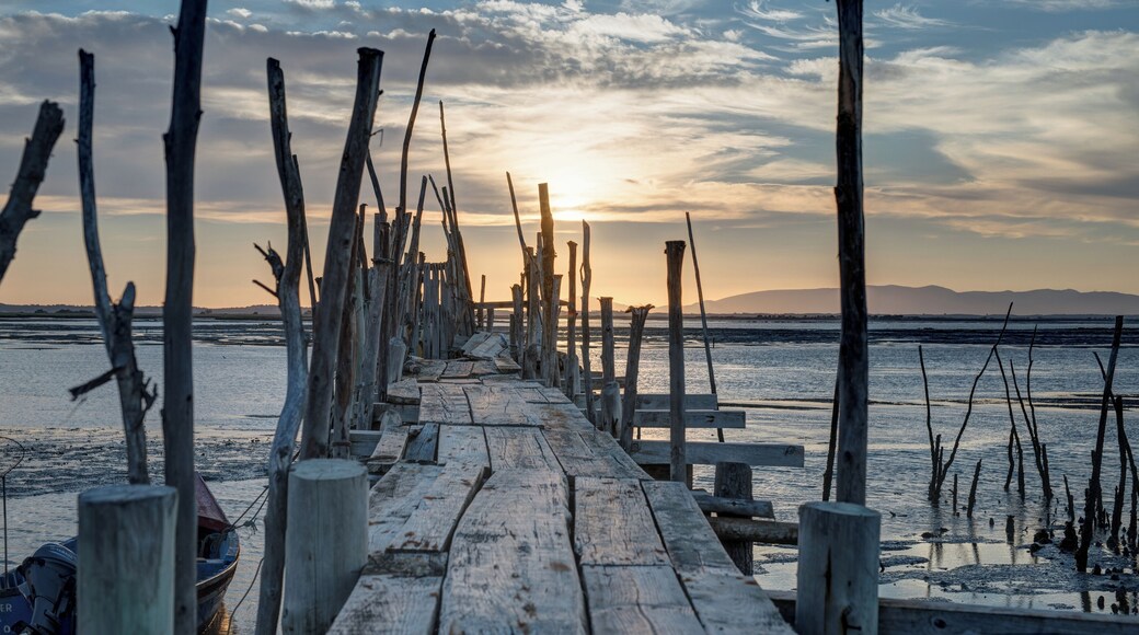 Amazing at sunset! A must visit. Don't miss it! Stairway to heaven ❤
#caispalafitico #carrasqueira #visitportugal #sunset #summer #goldenhour