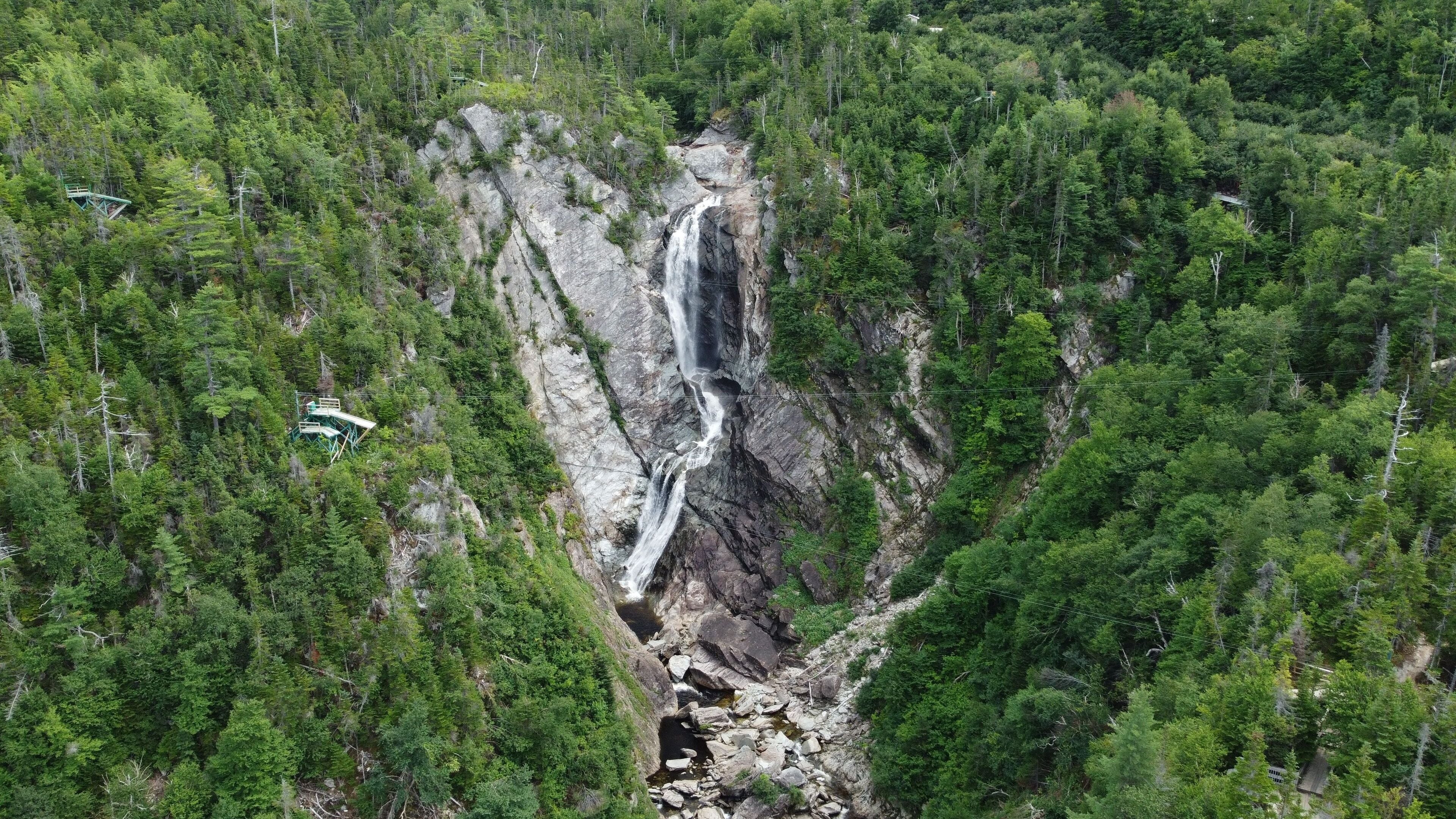 Una cascada se precipita por un acantilado rocoso, rodeada de un bosque tupido.