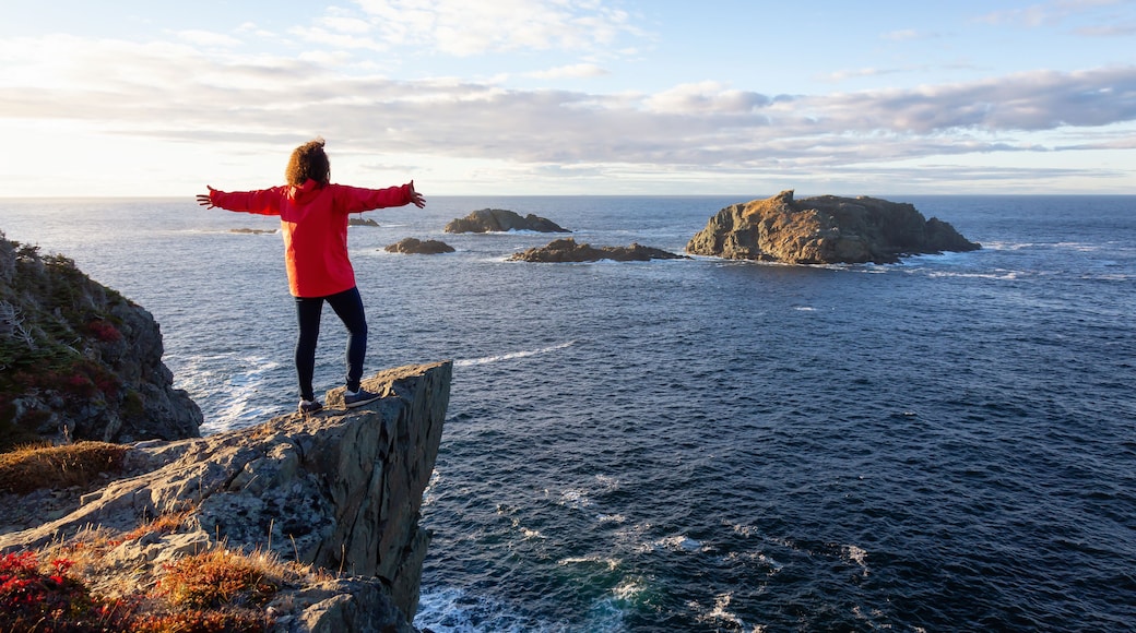 Woman in red jacket is standing at the edge of a cliff with open arms and enjoying the beautiful ocean scenery. Taken in Crow Head, North Twillingate Island, Newfoundland and Labrador, Canada.