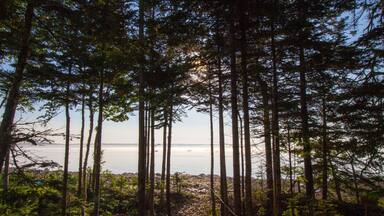 Foggy Morning, Gouldsboro Bay, Maine