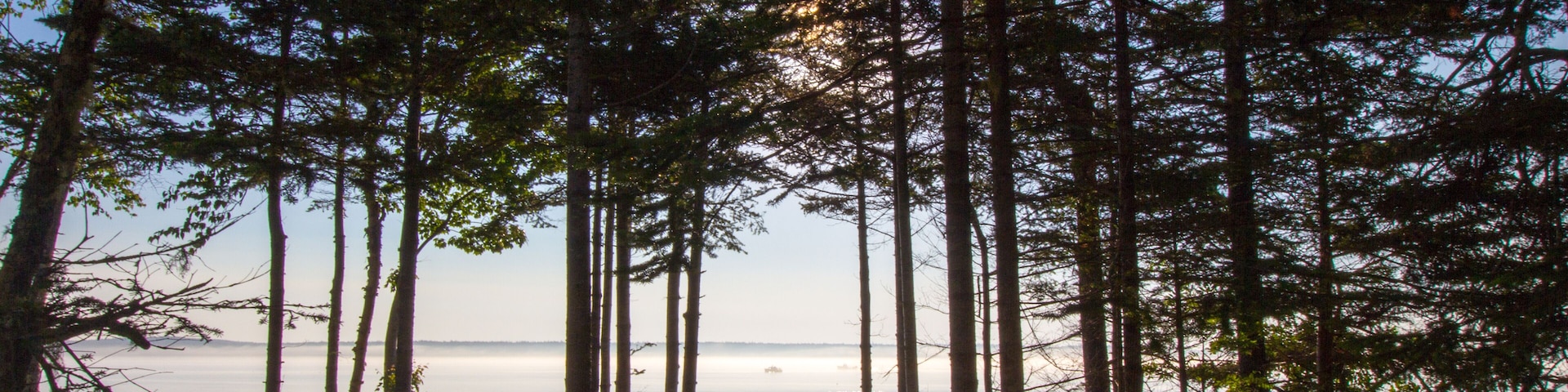 Foggy Morning, Gouldsboro Bay, Maine