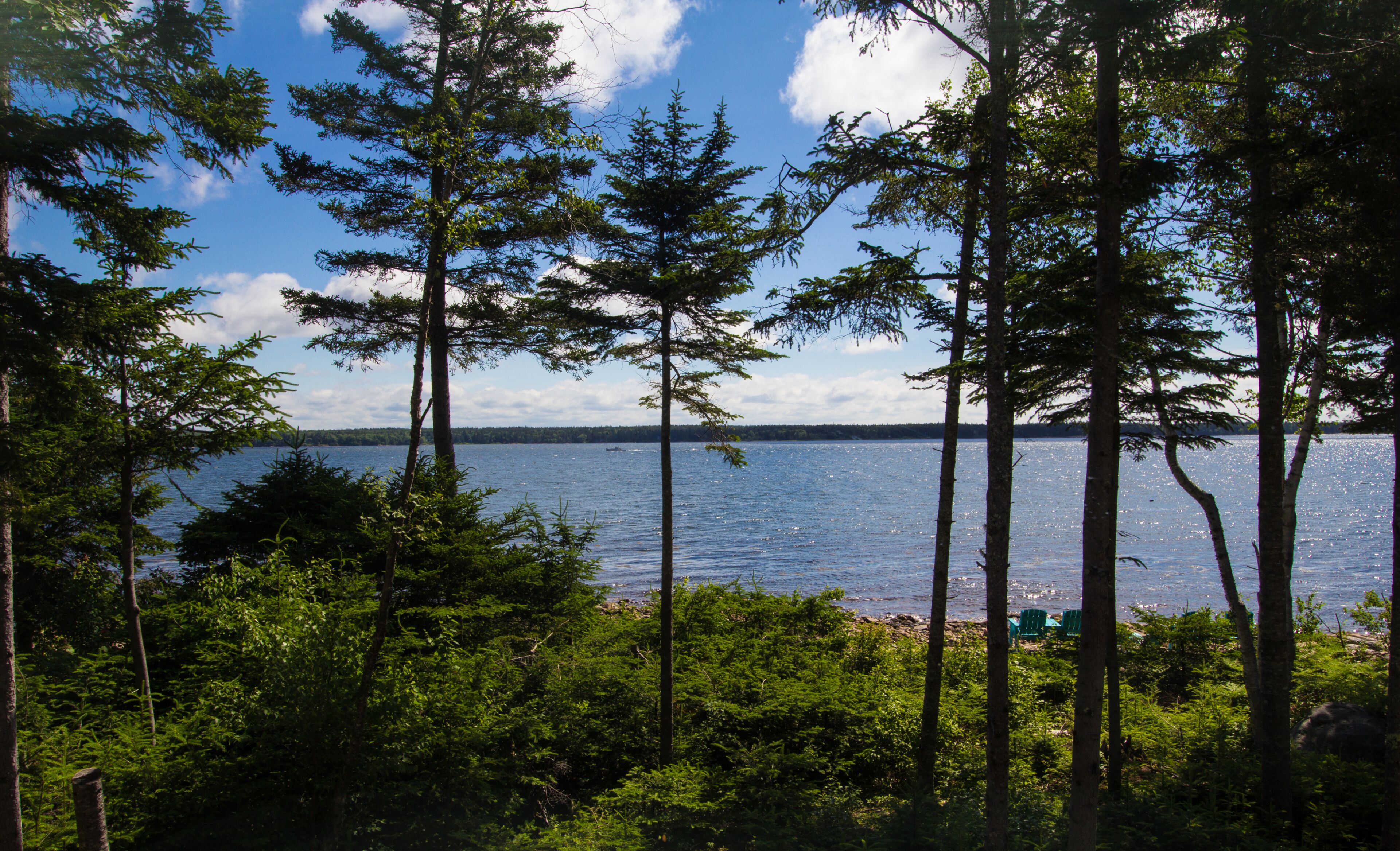 Summer Day on Gouldsboro Bay, Maine