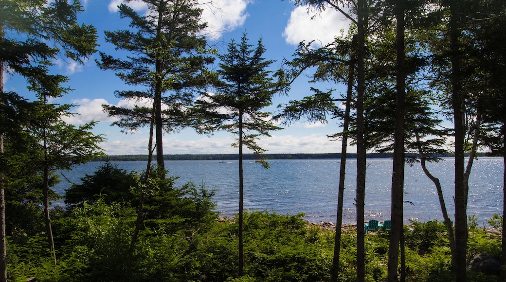 Summer Day on Gouldsboro Bay, Maine