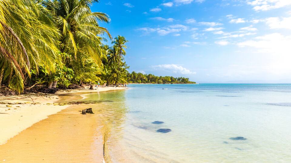 A tropical beach with clear turquoise water, palm trees, and a sandy shore.
