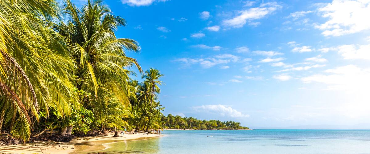 A tropical beach with clear turquoise water, palm trees, and a sandy shore.